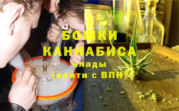 не бодяженный Ладушкин