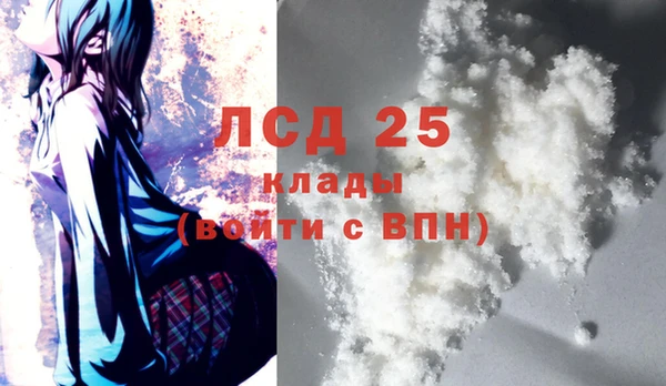 ПСИЛОЦИБИНОВЫЕ ГРИБЫ Лихославль