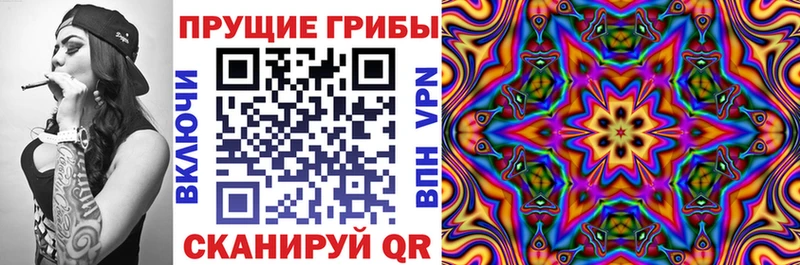 Псилоцибиновые грибы Cubensis Кудымкар