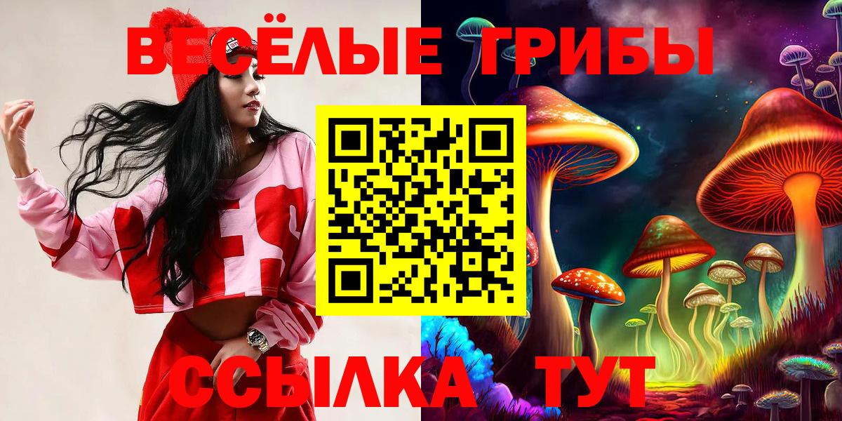 Псилоцибиновые грибы Psilocybine cubensis  Вход с VPN  Кудымкар 