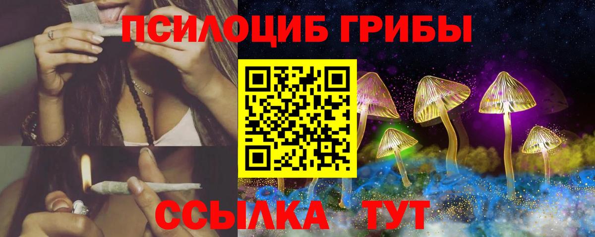 Галлюциногенные грибы Psilocybe Кудымкар